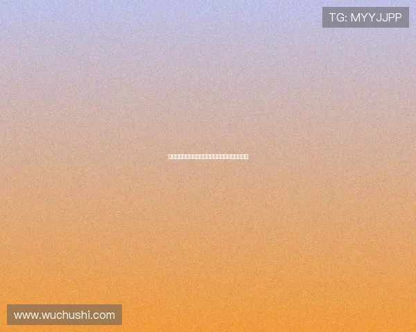 樊振东亮相德甲发布会谈重返国家队计划与未来目标